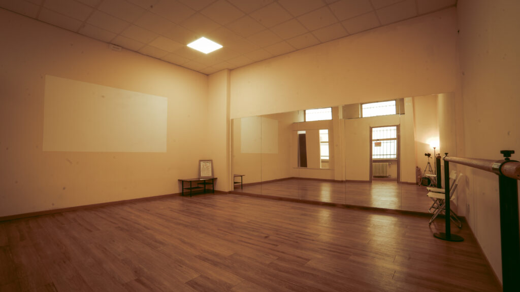 SALA MANDRA - Saletta di 35 metri quadri,  dotata di specchiera e sbarra da danza, impianto audio e schermo per proiezione. Adatta per lezioni private e lezioni frontali."